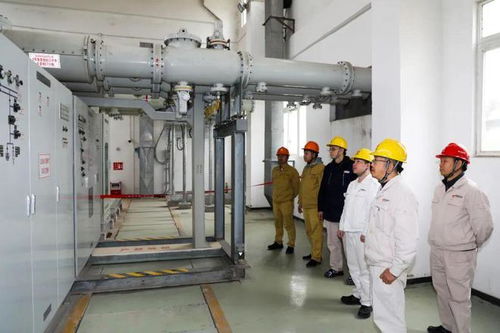 保障能源安全 国能肇庆电厂二期工程厂用电受电一次成功，手机软件设计助力智慧电厂