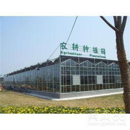 阳泉四季恒温摄影基地玻璃温室大棚工程中的计算机软件设计