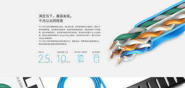 TL-EC600 305米六类非屏蔽网络工程线 TP-Link官方网站产品介绍与计算机软件设计应用